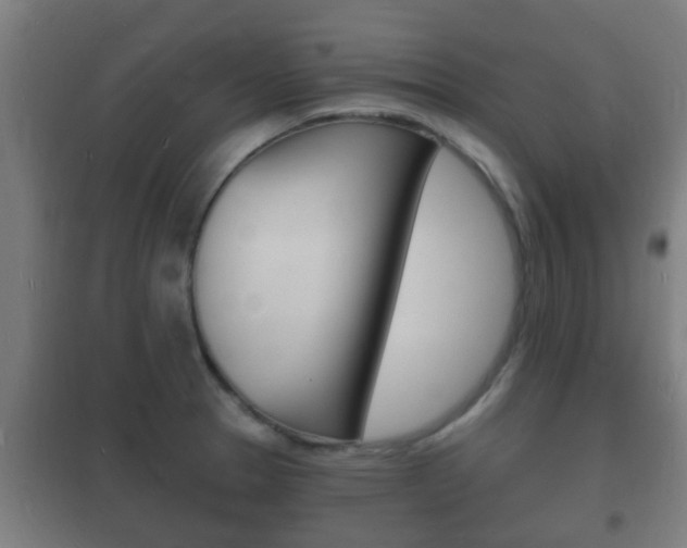 X0000102221329200807250737