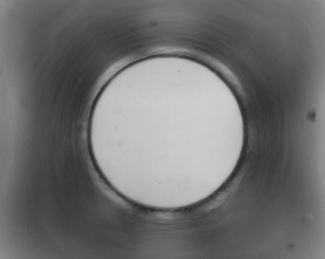 X0000102221330200807250737
