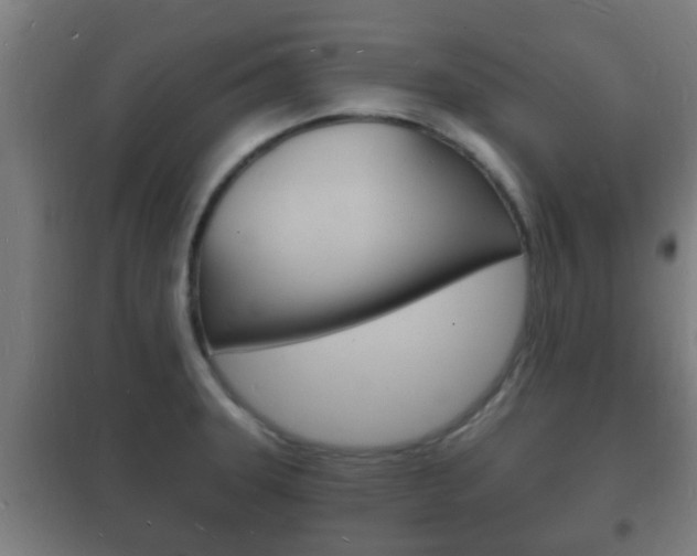 X0000102221331200807250737
