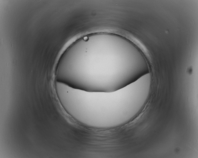 X0000102221332200807250737