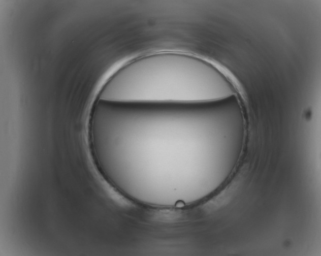 X0000102221333200807250737