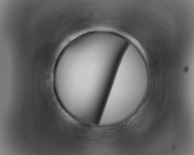 X0000102221335200807250737