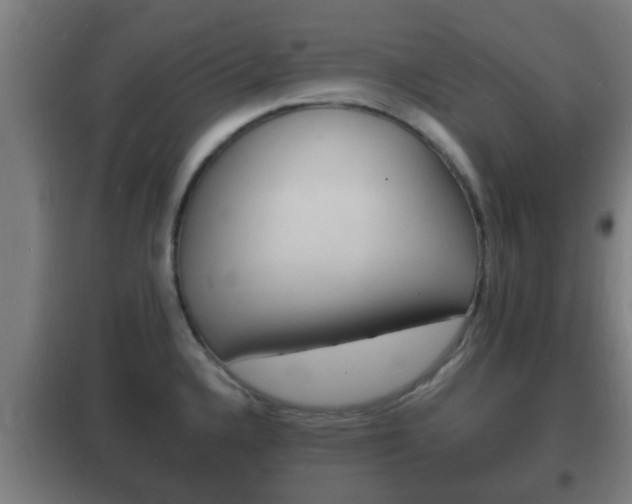 X0000102221336200807250737