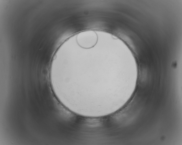 X0000102221338200807250737
