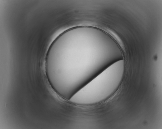 X0000102221340200807250737