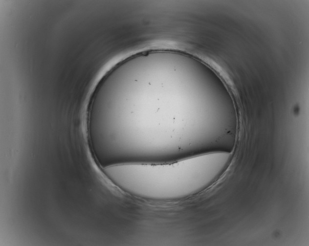X0000102221342200807250737