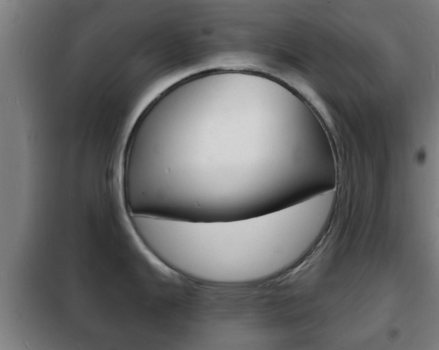 X0000102221343200807250737