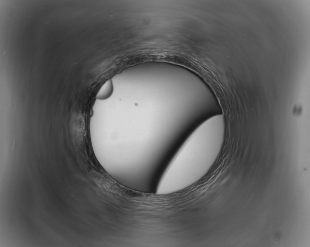 X0000102221347200807250736