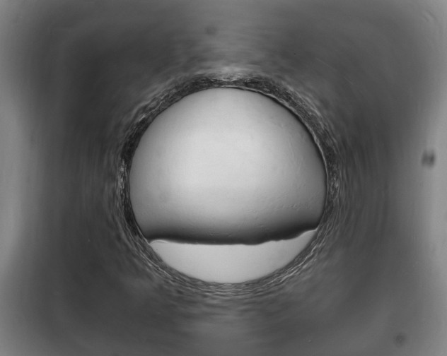 X0000102221349200807250736