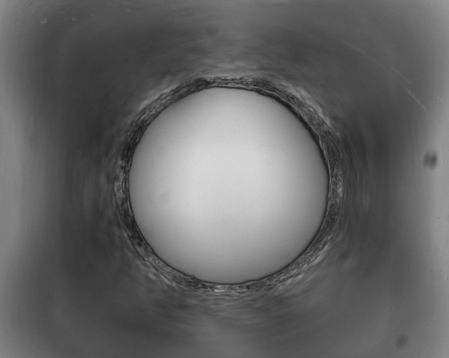 X0000102221350200807250736