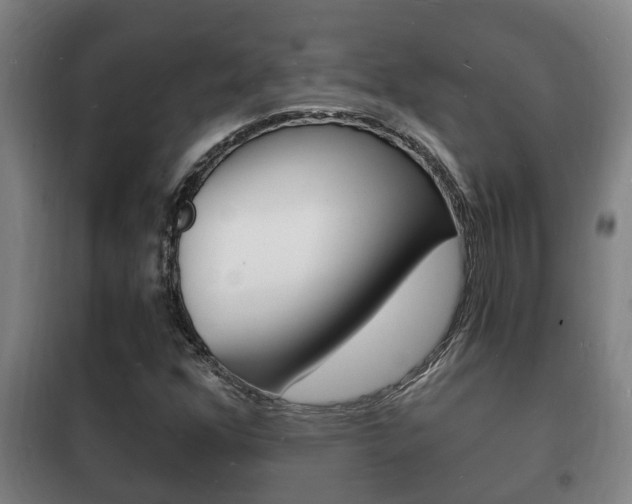 X0000102221352200807250736