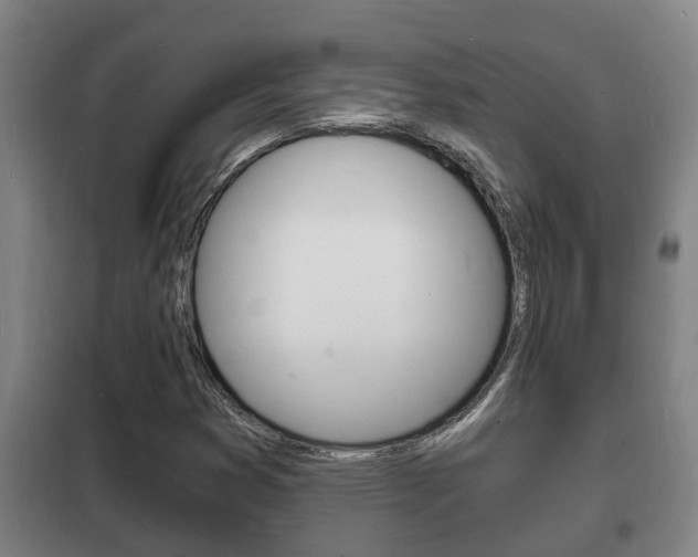 X0000102221353200807250736