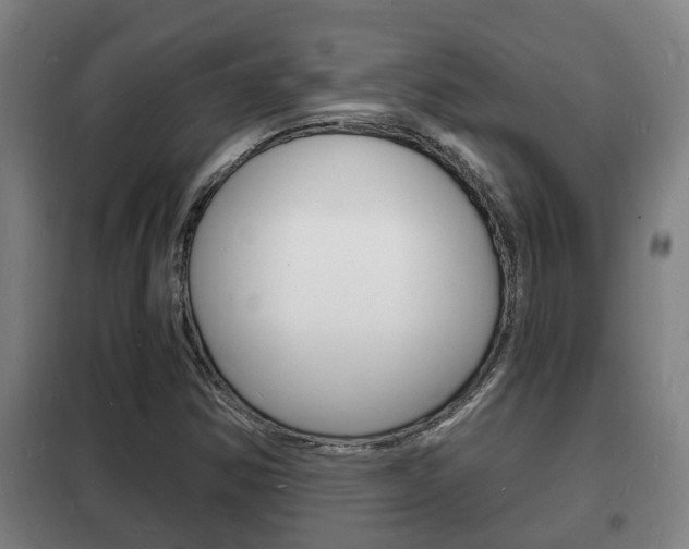 X0000102221354200807250736