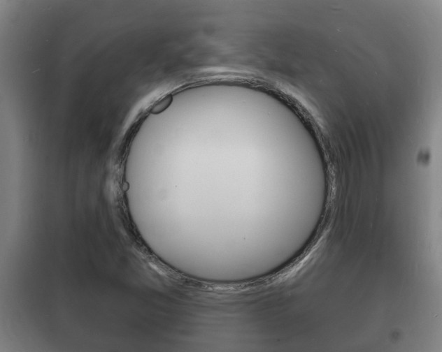 X0000102221357200807250736