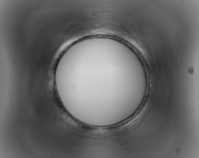 X0000102221358200807250736