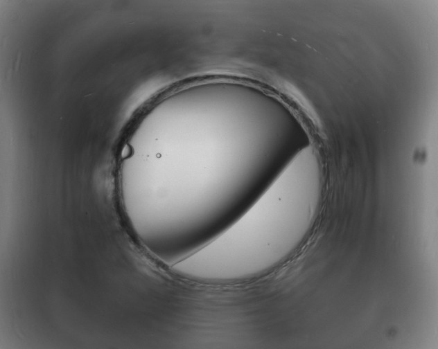 X0000102221360200807250736