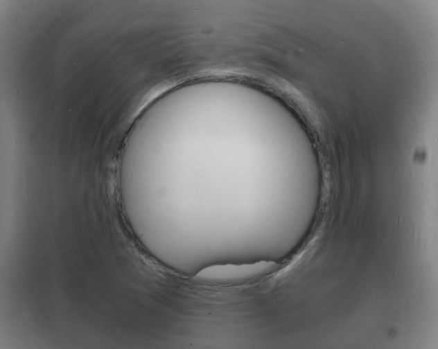 X0000102221361200807250736
