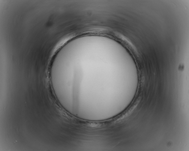 X0000102221362200807250736