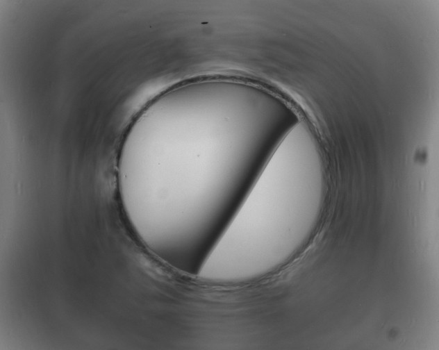 X0000102221363200807250736
