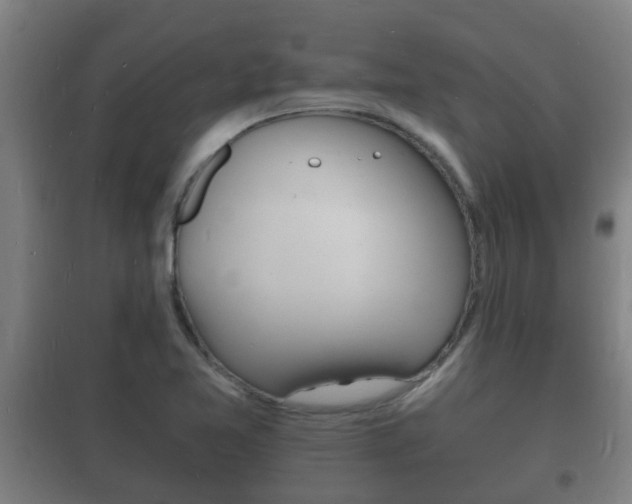 X0000102221365200807250736