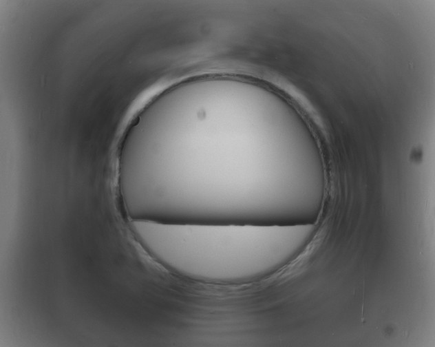 X0000102221366200807250736