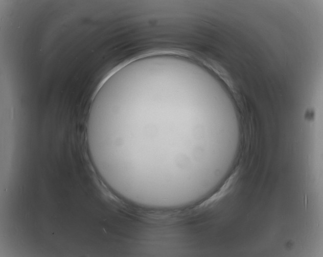 X0000102221369200807250736