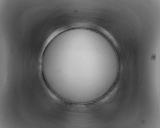X0000102221370200807250736