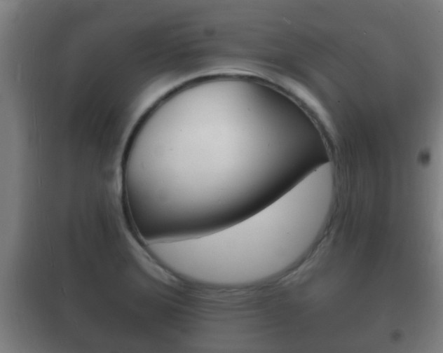 X0000102221372200807250736