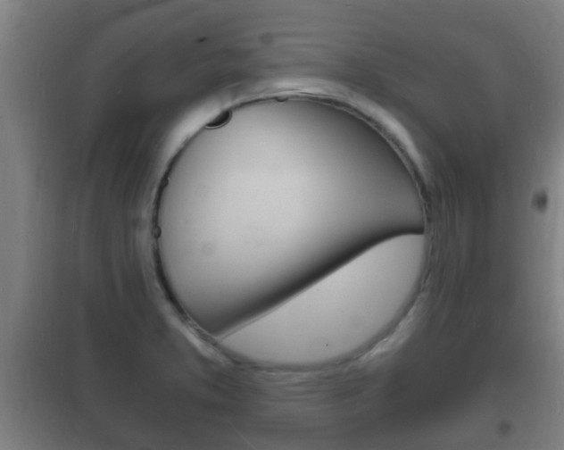 X0000102221373200807250736