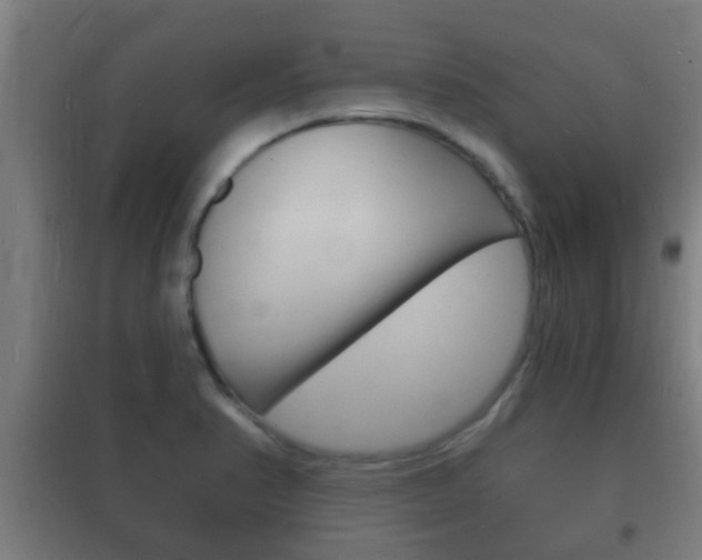 X0000102221374200807250736