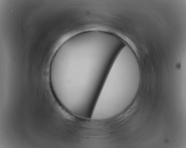 X0000102221375200807250736