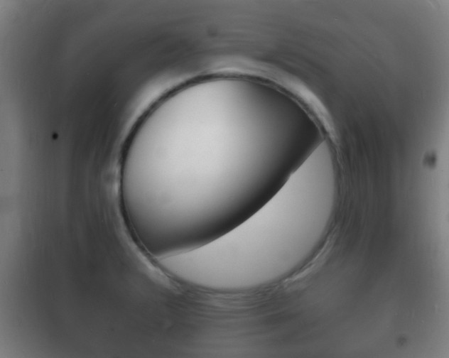 X0000102221376200807250736