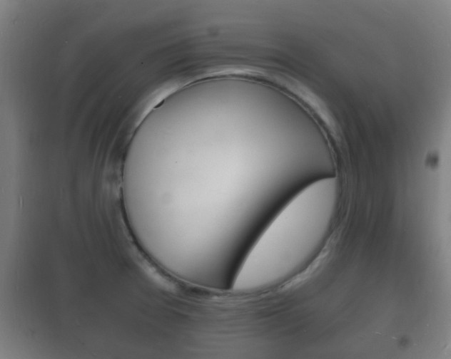 X0000102221377200807250736