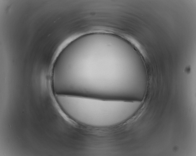 X0000102221379200807250736