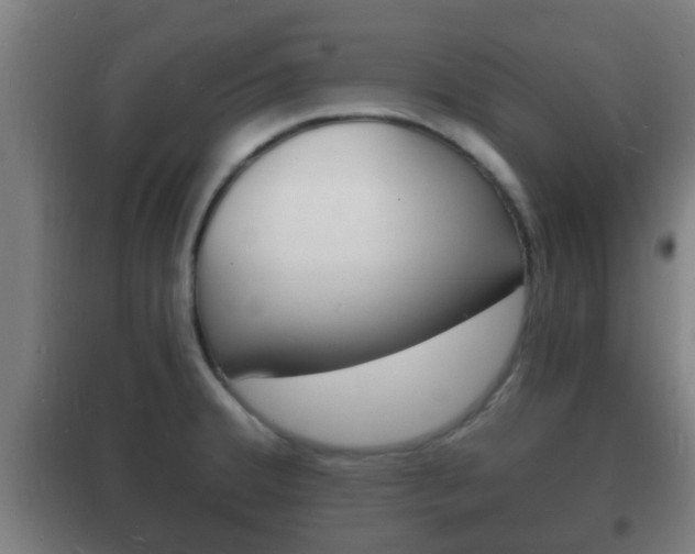 X0000102221380200807250736
