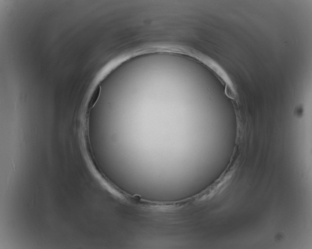 X0000102221381200807250736
