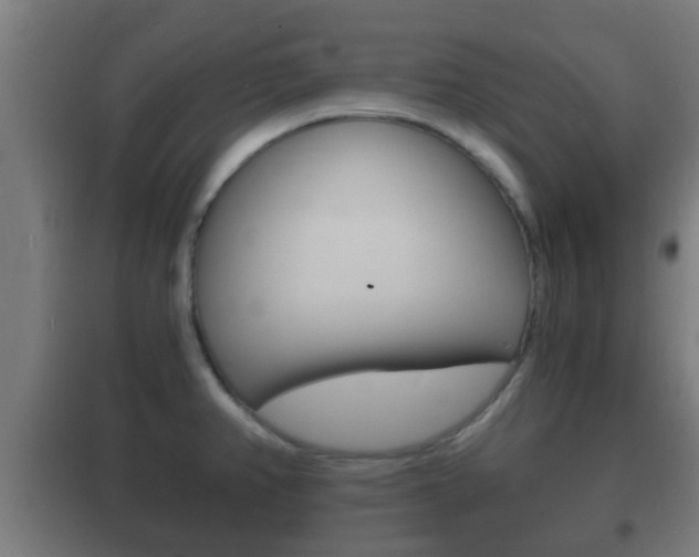 X0000102221382200807250736