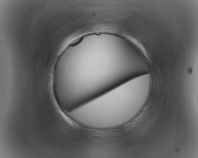 X0000102221383200807250736