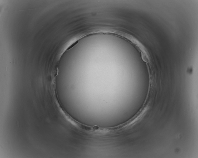 X0000102221385200807250736