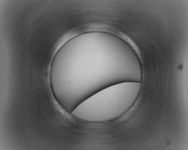 X0000102221386200807250736