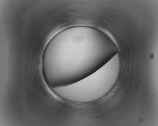 X0000102221387200807250736
