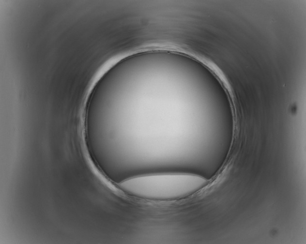 X0000102221389200807250736