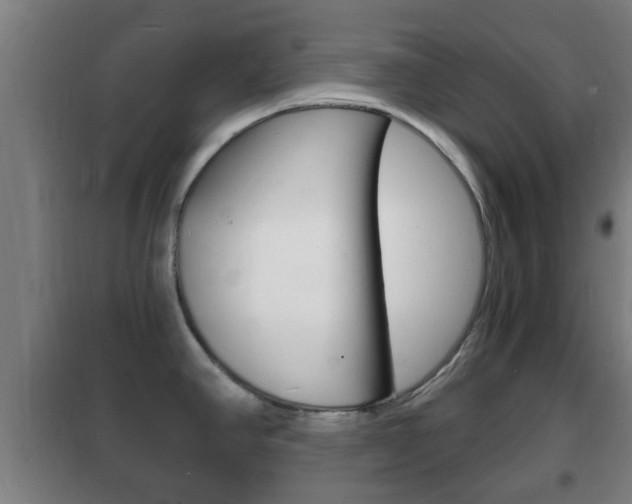 X0000102221390200807250736