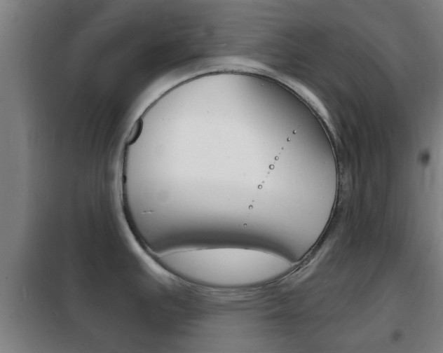 X0000102221391200807250736