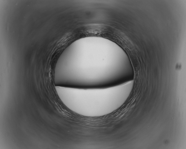 X0000102221394200807250735