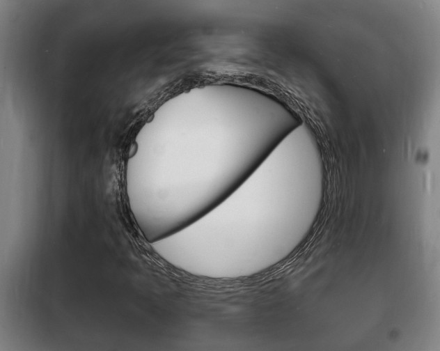 X0000102221397200807250735