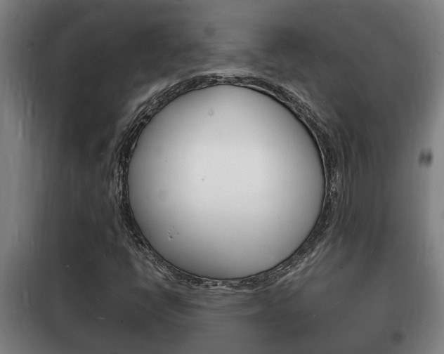X0000102221398200807250735
