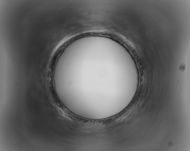 X0000102221400200807250735