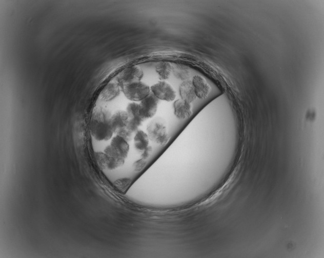 X0000102221401200807250735
