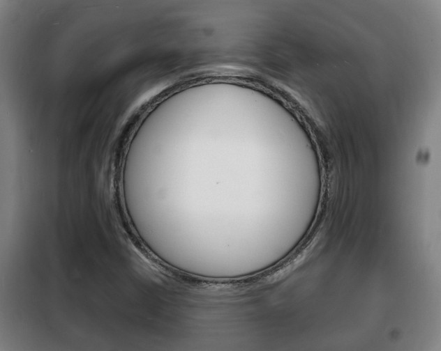 X0000102221402200807250735